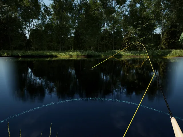 Fly Caster - VR Fly Fishing