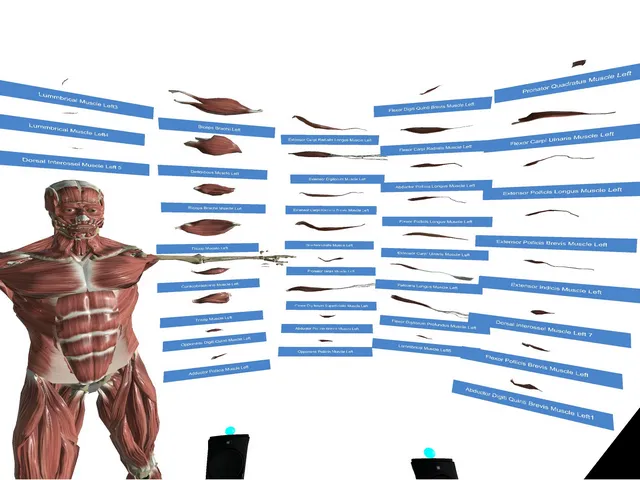 VR Anatomy